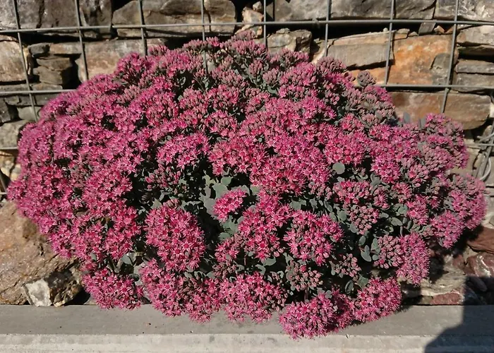 Aegerta Alte Schreinerei Casa de Férias *