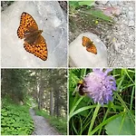 Aegerta Alte Schreinerei Tschiertschen