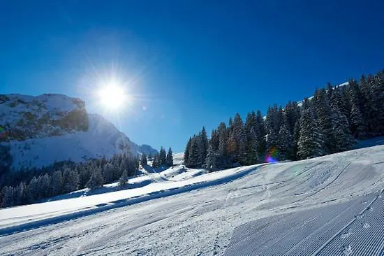 Aegerta Alte Schreinerei Hébergement de vacances Tschiertschen