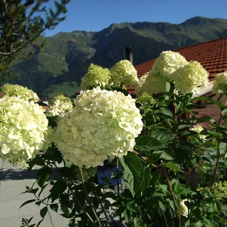 Aegerta Alte Schreinerei Tschiertschen