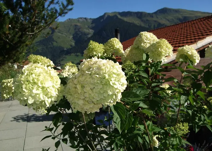 Aegerta Alte Schreinerei Tschiertschen